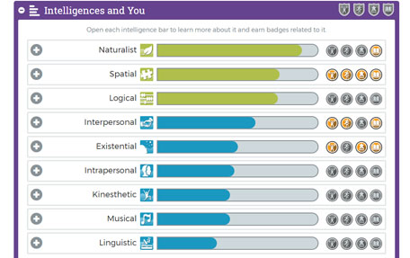 Multiple intelligence results within College & Career Success