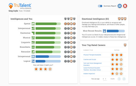 TruTalent Intelligences Summary Report