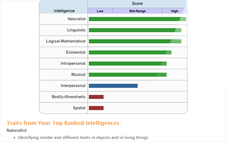 Multiple intelligence results within College & Career Success