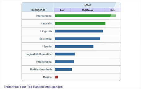 MI Advantage multiple intelligences chart