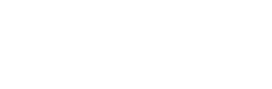 The Learning Style Inventory logo
