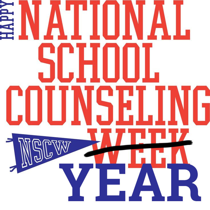 National School Counseling Year