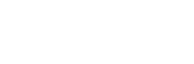 The PEPS Learning Style Inventory logo