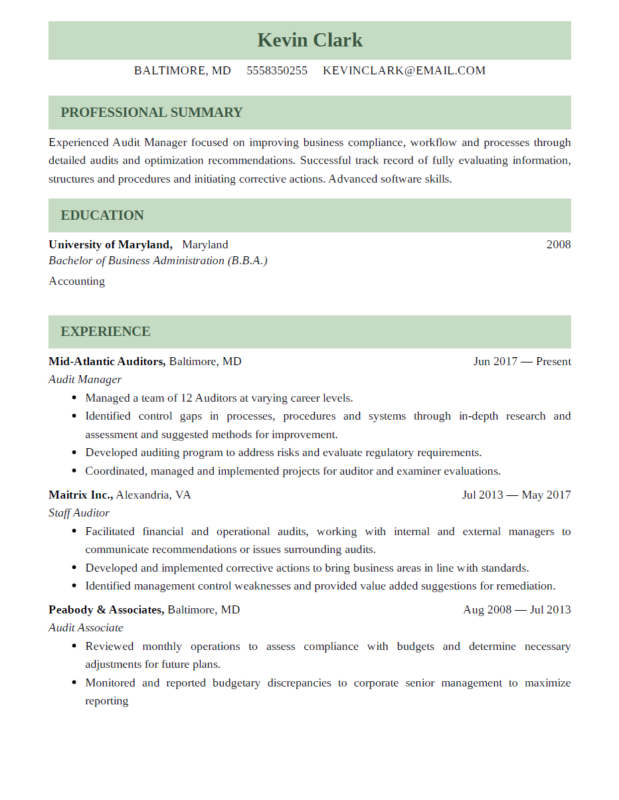 Experienced Professional resume template