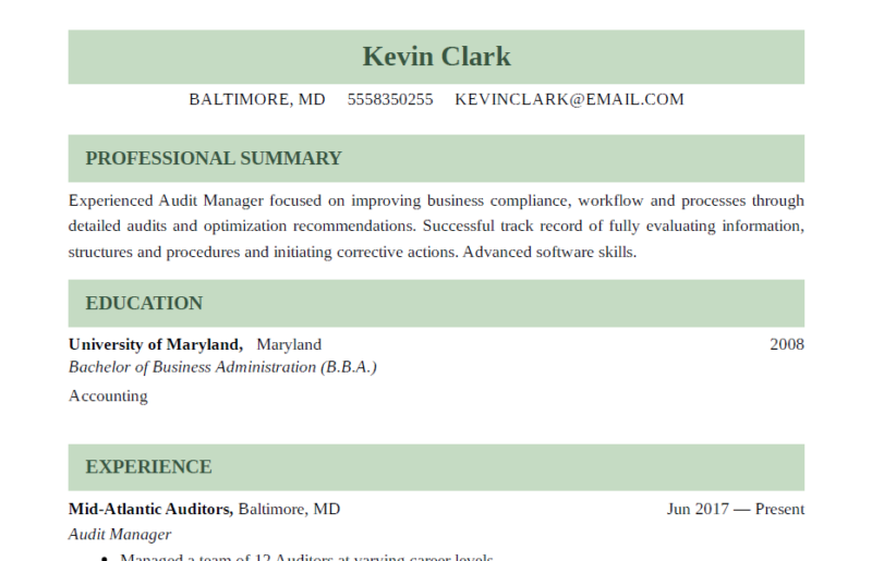 Experienced Professional resume template