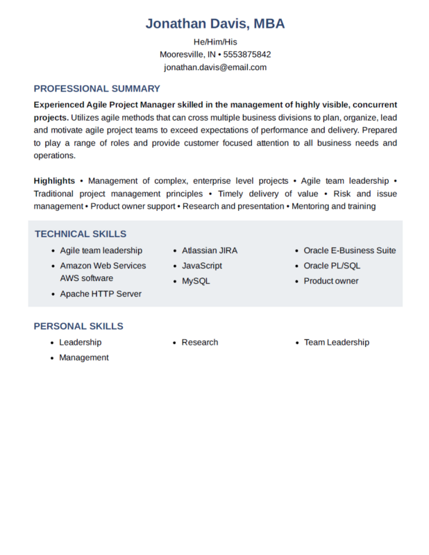 Technical Professional resume template
